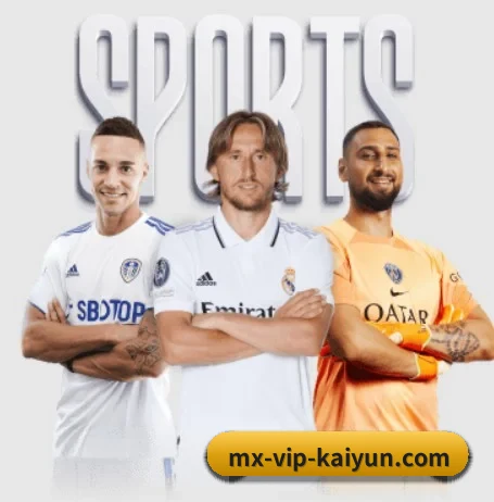 坚持做好基础的事 - 长期内容价值积累 - kaiyun sport